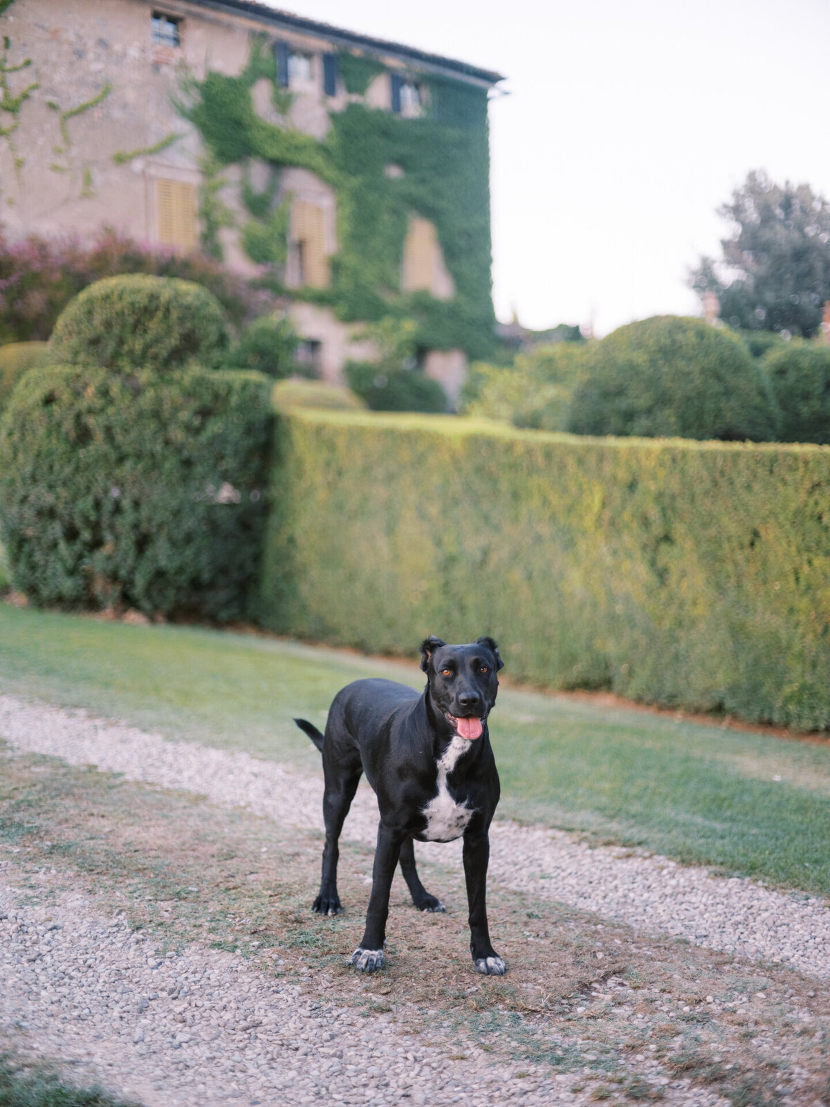 Bethany Erin Dallas Wedding Photographer Italy Destination143