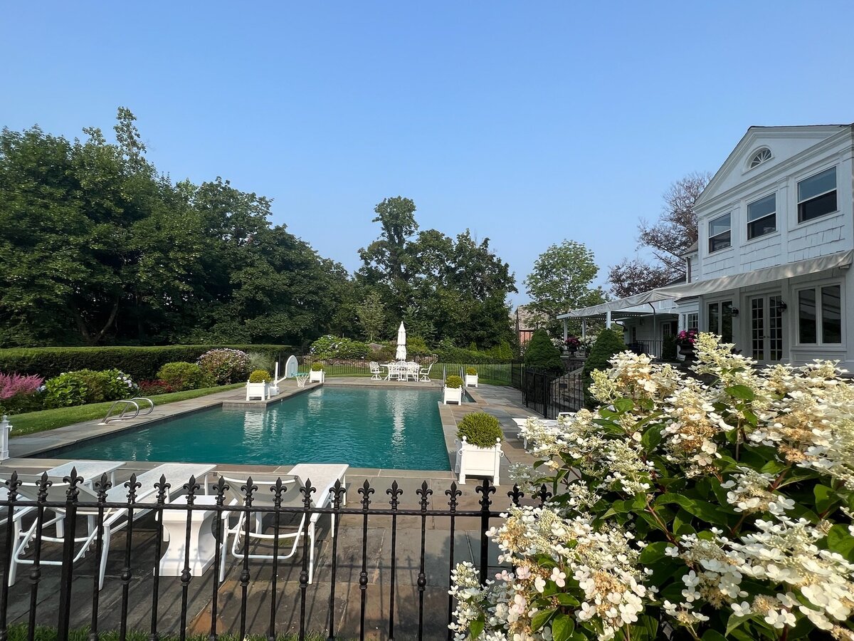 Elegant backyard with a pool, white colonial home, and lush landscaping with blooming hydrangeas.