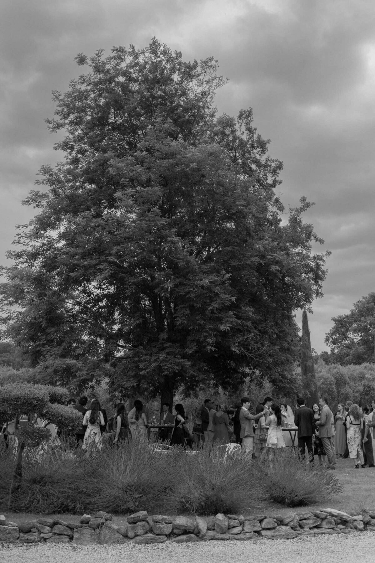 Provence Wedding