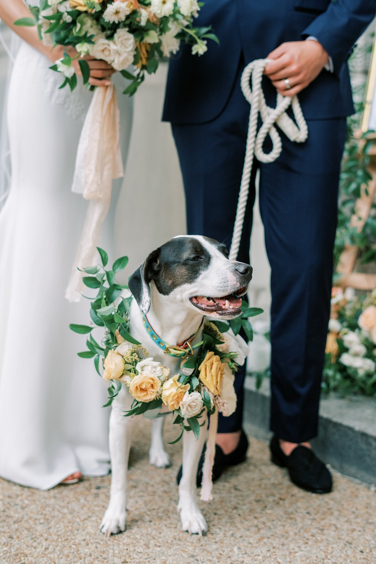 Charleston-and-Washington-DC-Wedding-Photographer-Larz-Anderson-House-Emily-and-Brian-61