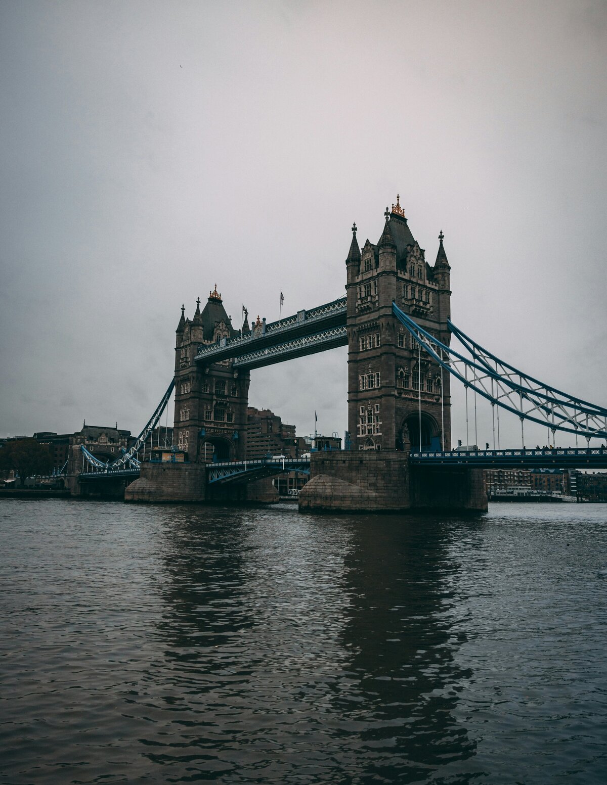 chalo-gallardo-bRNMY4dNwQ4-unsplash