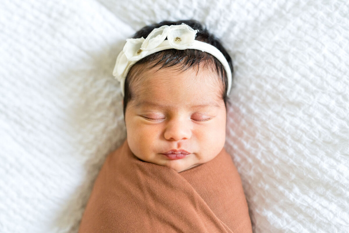 austin-newborn-photographer (12)