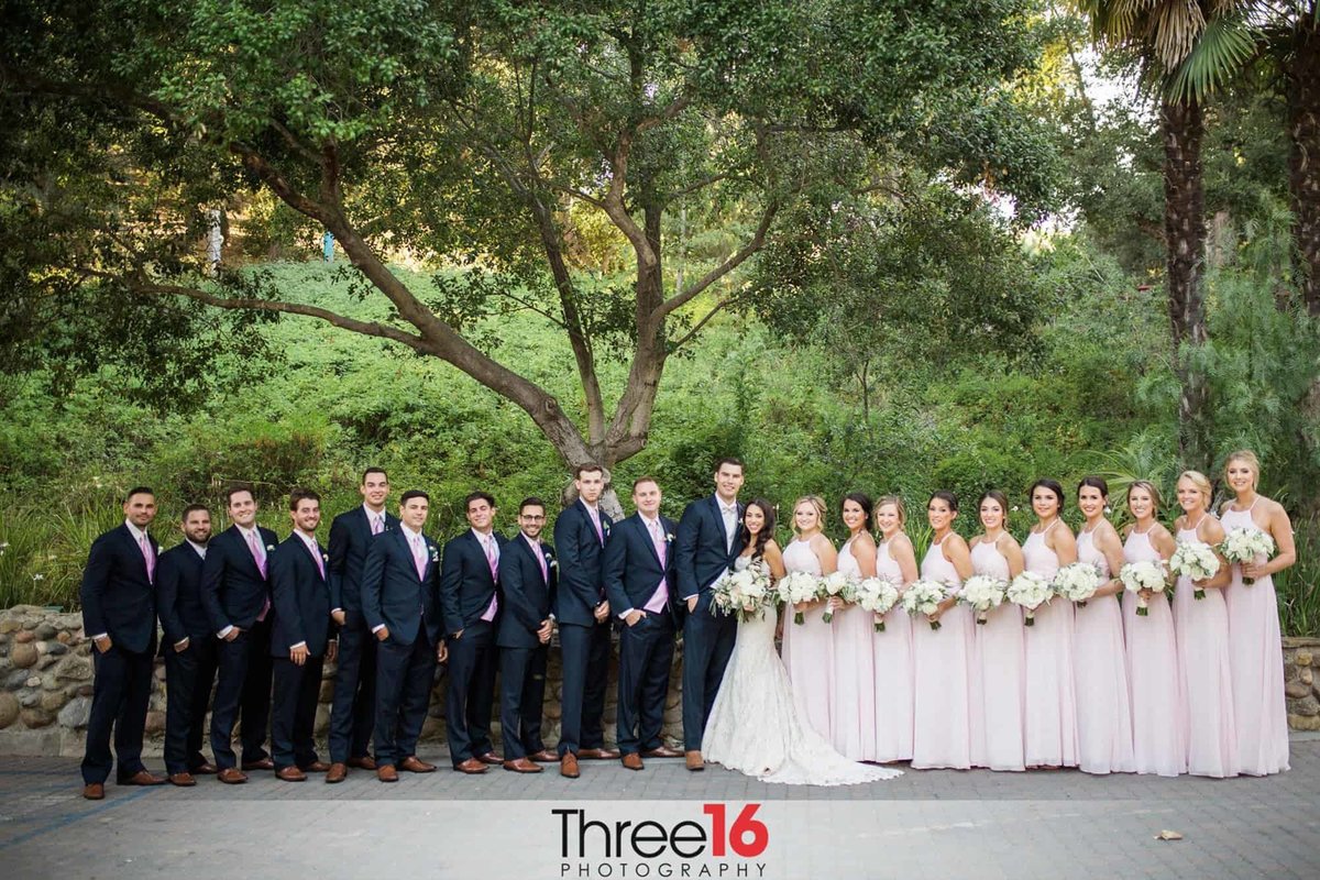 Bride and Groom posing with 20 members of the Bridal Party