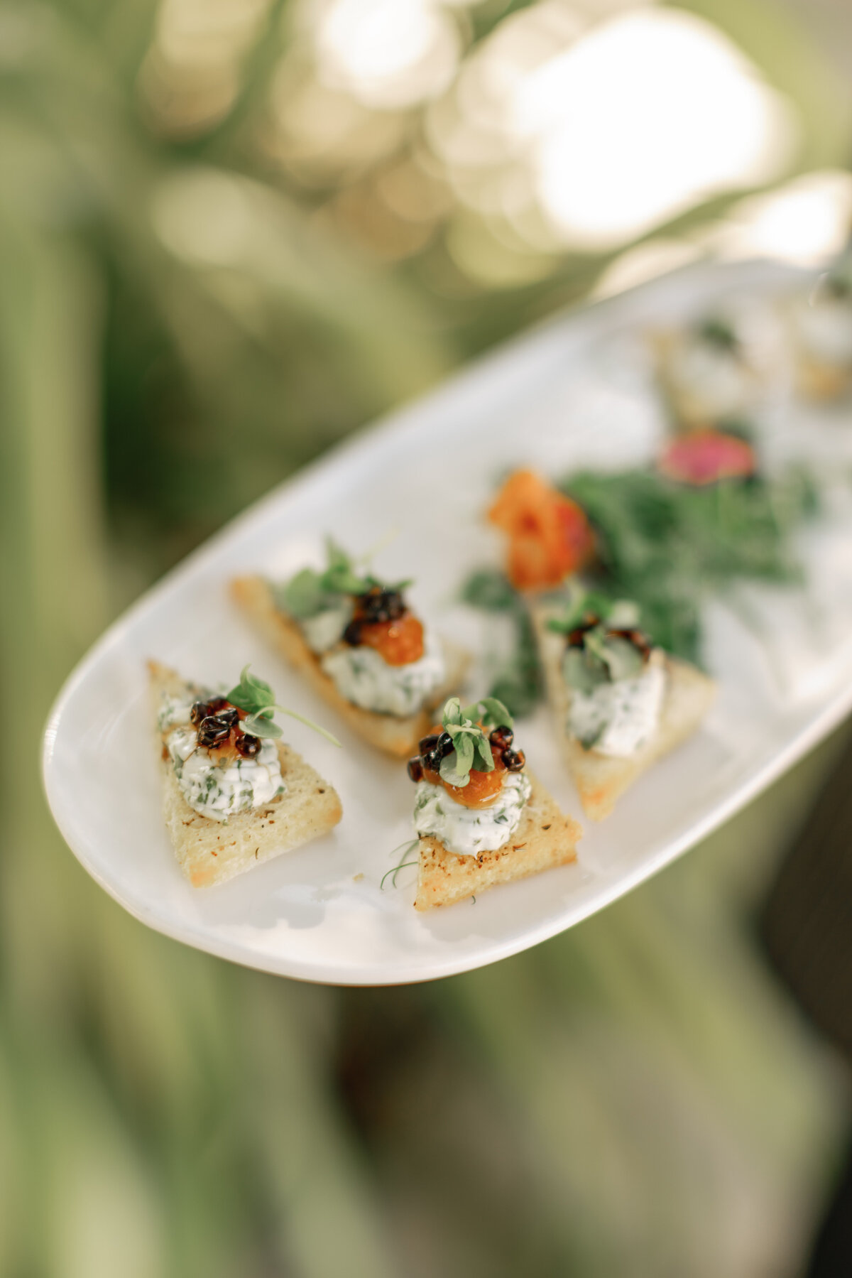 emilyandkyle_08102024_ericastreelmanphotographer-1269