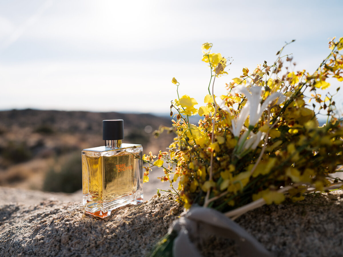 joshua-tree-ruth-yang-photo-16