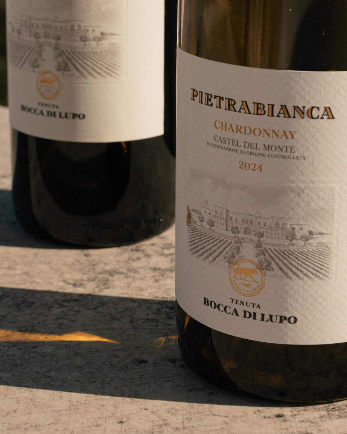 24Nov2025_BoccaDiLupo-33