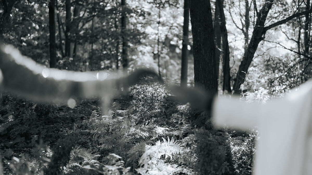Visuals by Nihal - Aliyah and Humza - 80