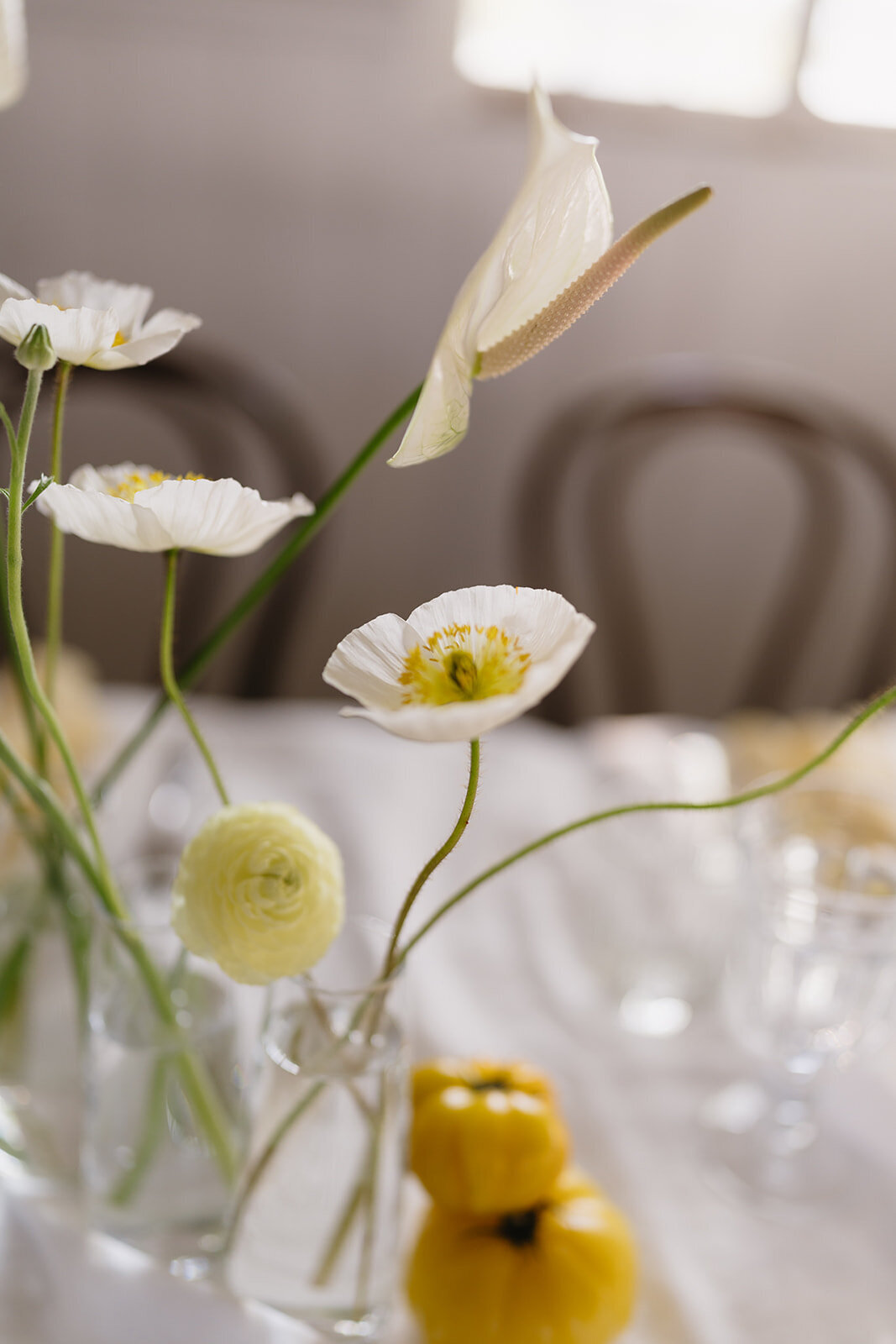 Ashleigh Haase Photography-97_websize