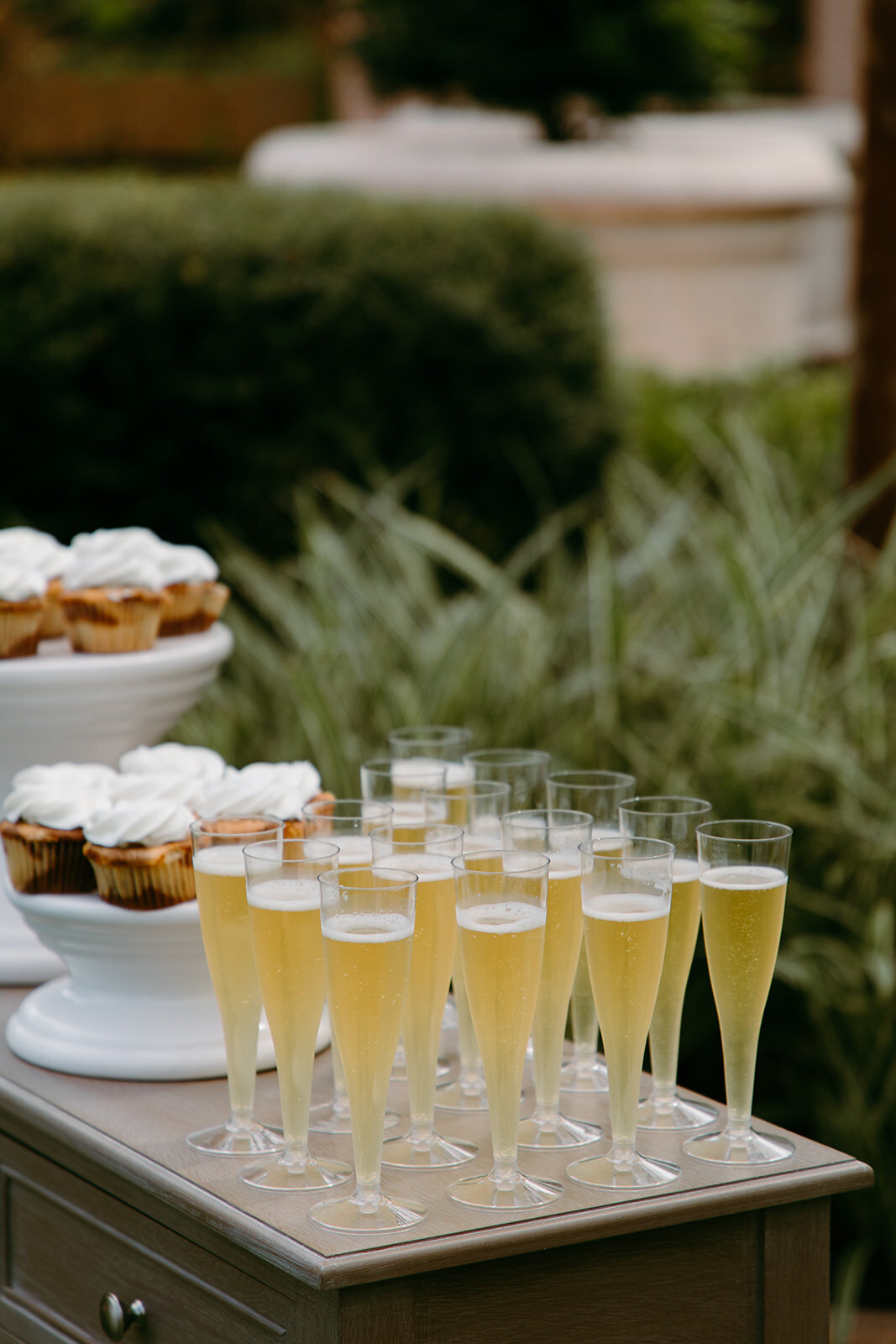 Jessica-Cruz-Photo-Florida-Botanical-Gardens-elope-in-tampa-Chantilly-Chic-13