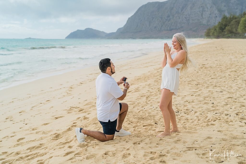 Oahu beach Proposal