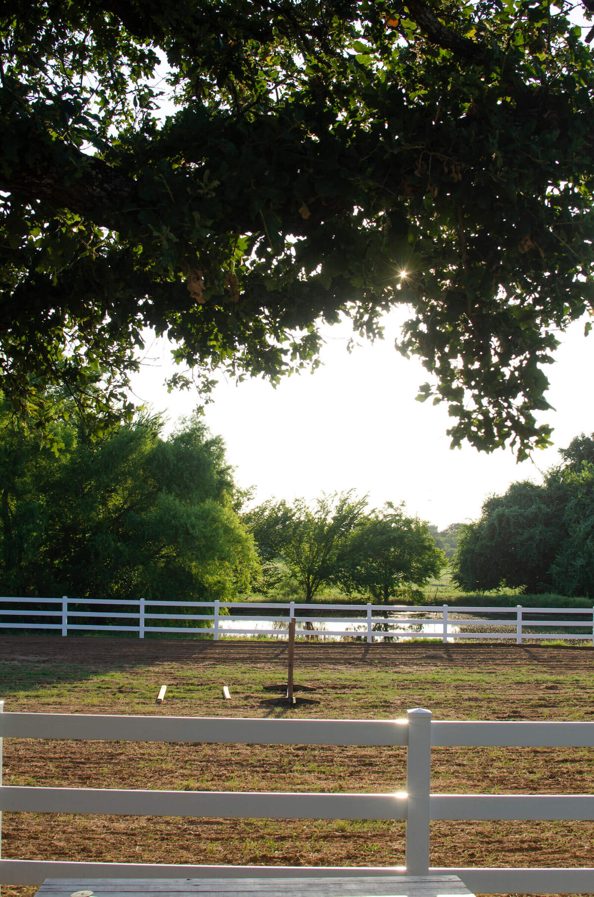 Lush pasture for full care horse boarding near Fort Worth Texas