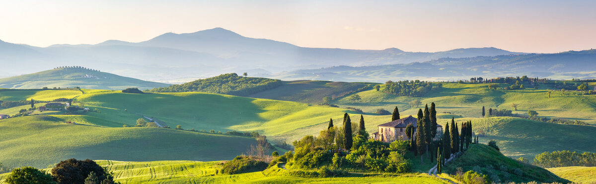 shutterstock_1194428437
