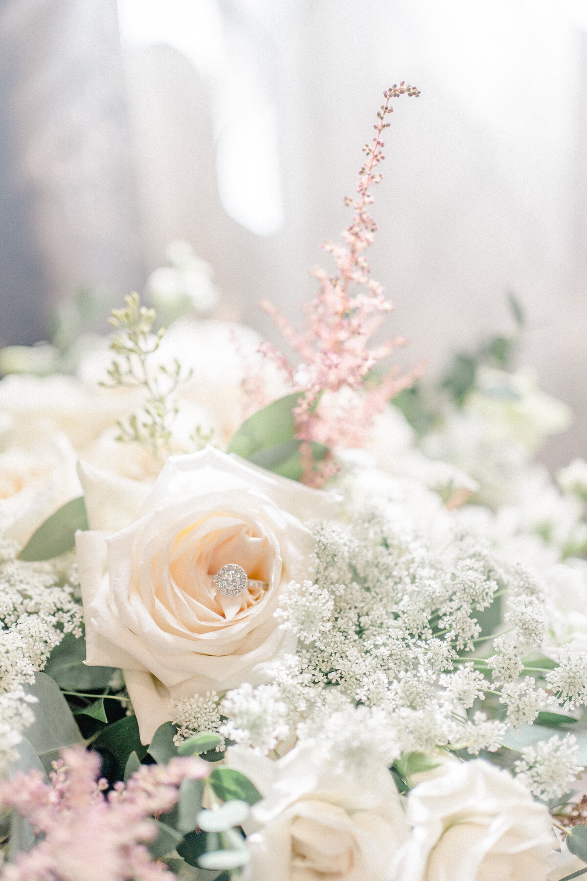 allthingsjoyphotography_njweddingphotographer_njengagement-15