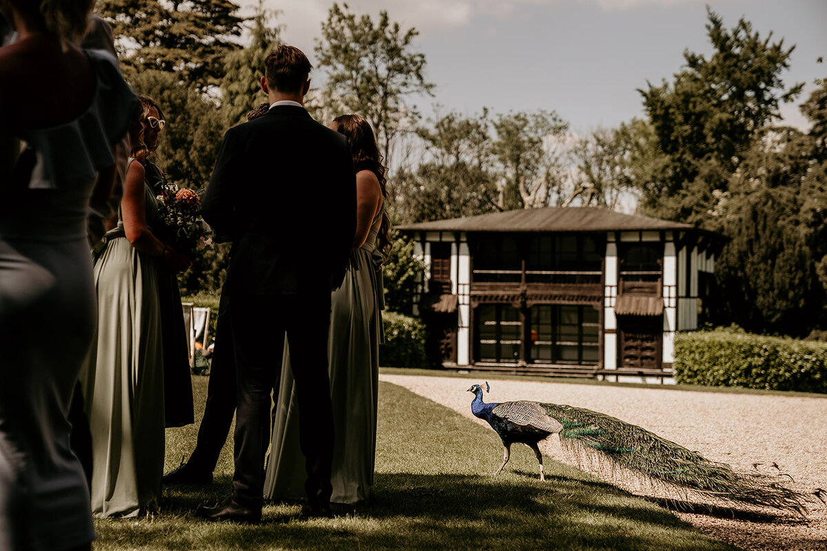 Louisa Jane Photography_Larmer Tree wedding photographer-790
