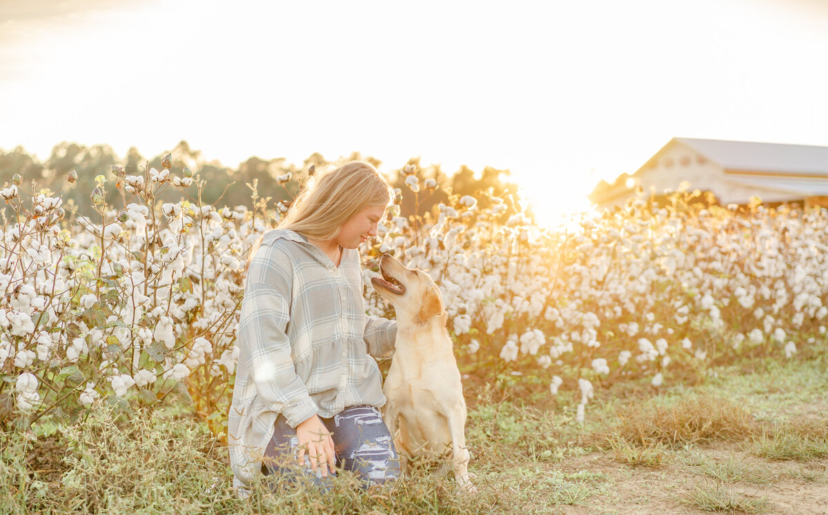 young girl kissing her dog in a cotton field in southeast georgia at golden hour