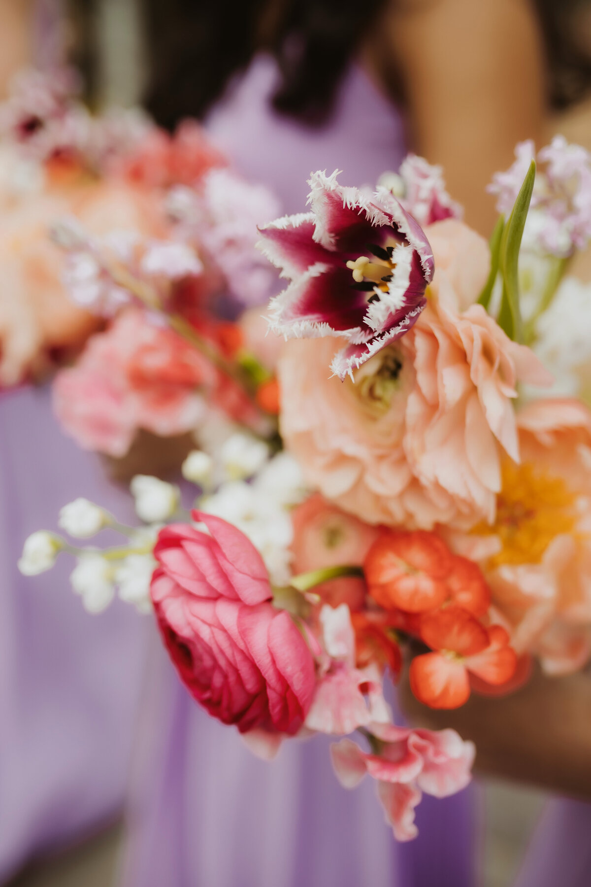 Carolyn+Jim_0286