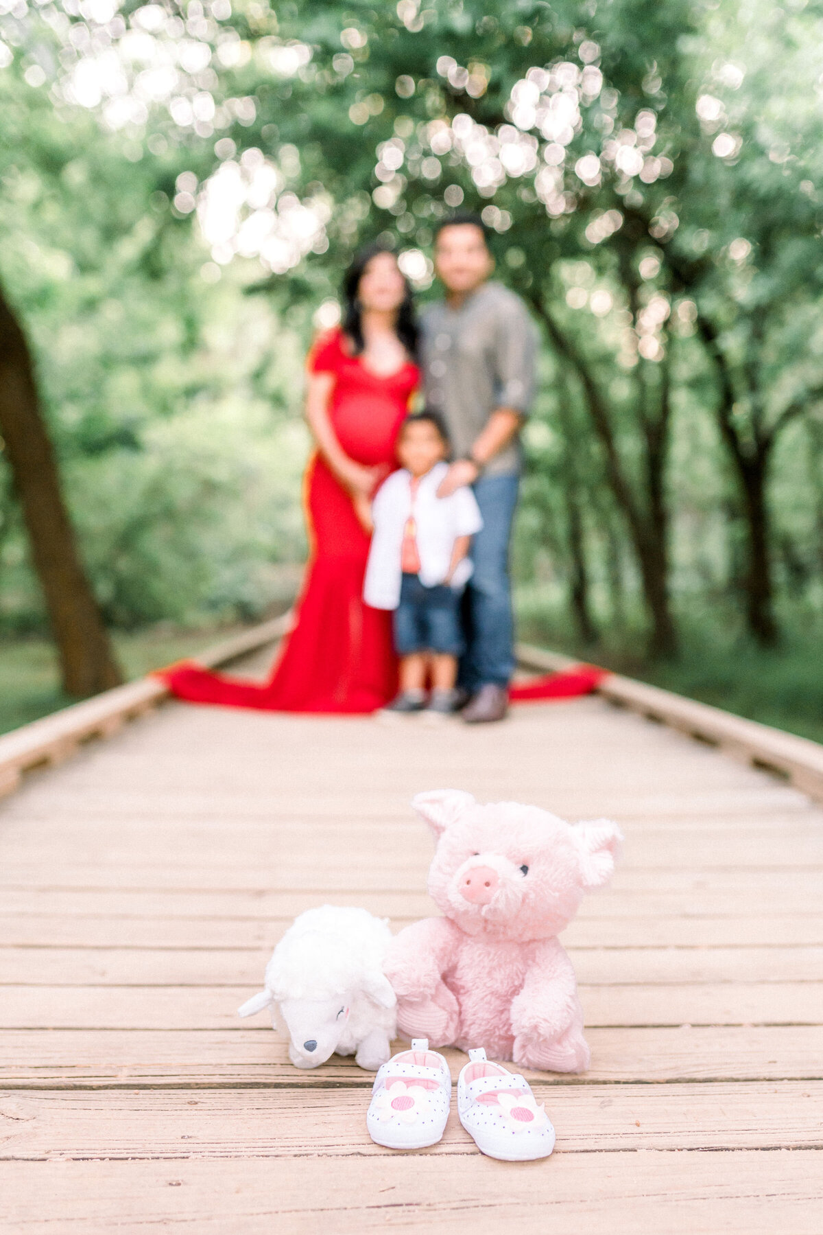 Austin Texas Indian Maternity Photograph