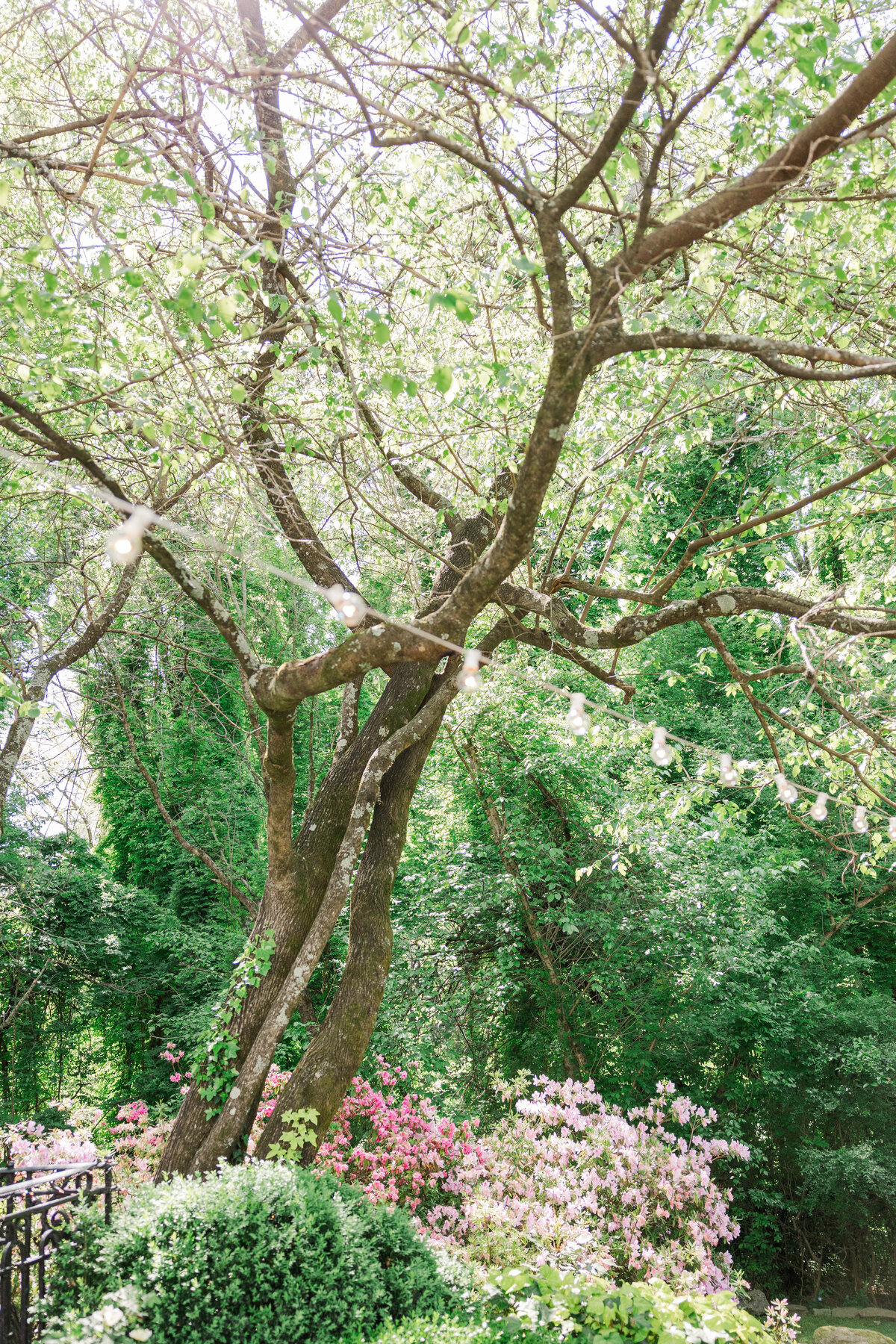 Glenn-Wedding-SneakPeek-110