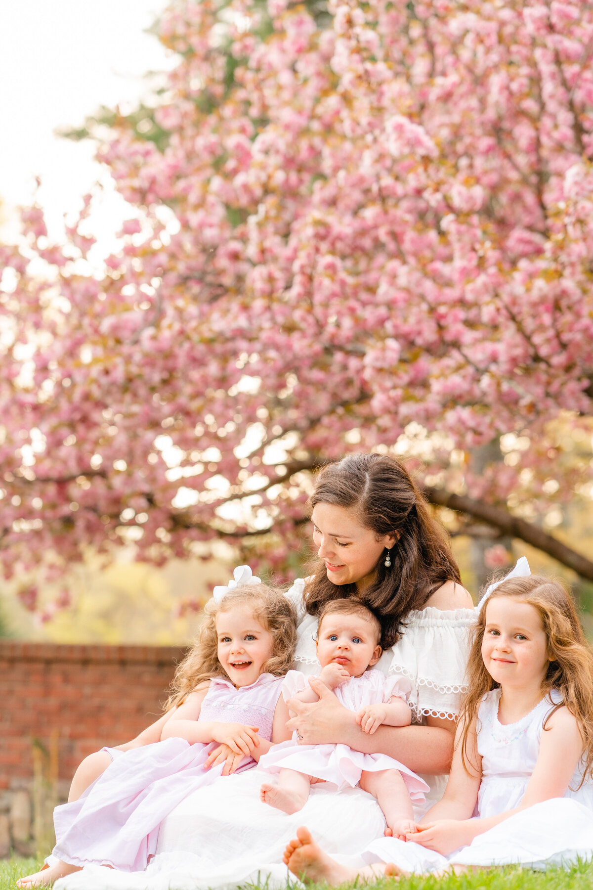 Kelley Hoagland is a Lookout Mountain Family Photographer. Family posing seated in front of blooming cherry. Bright and airy spring family photos.