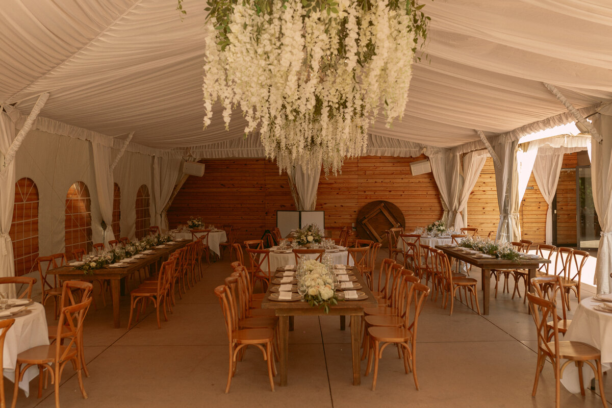 Harvey-12-Dinner-PaytonHartsellPhotography-1023
