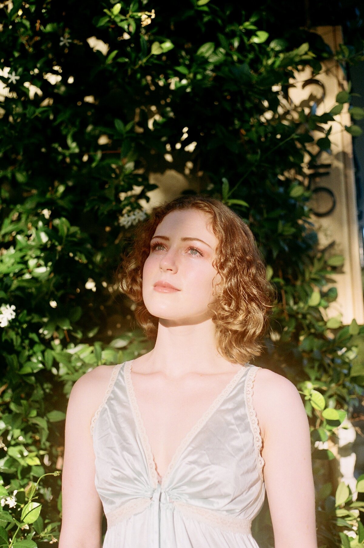 Oliva