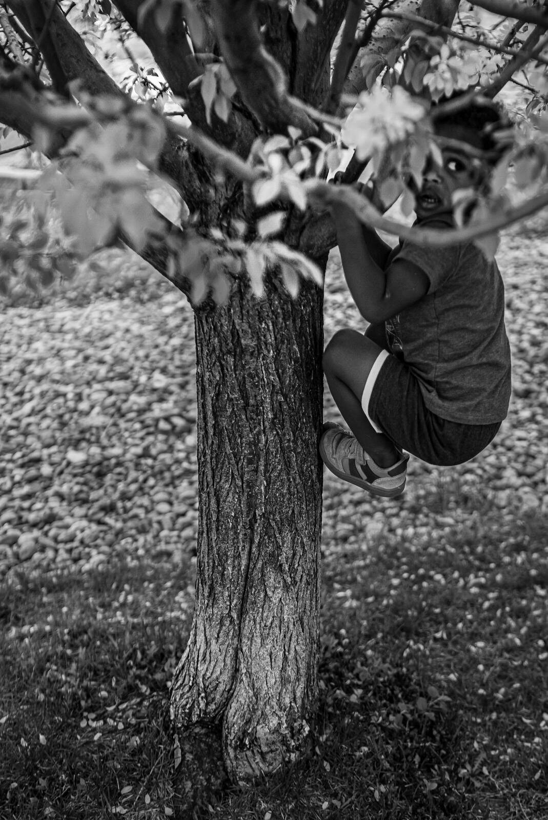DENVER-COLORADO-FAMILY-PHOTOGRAPHER020