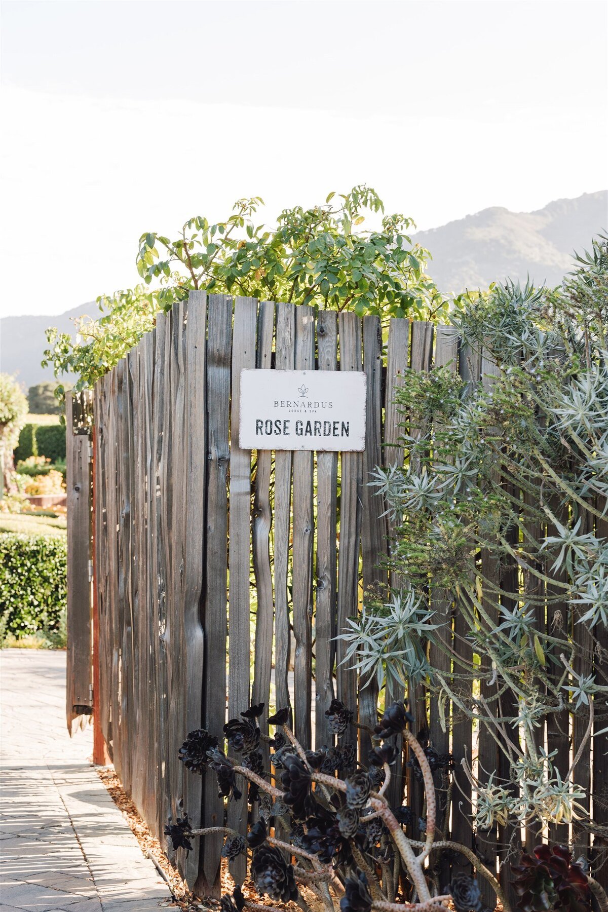 bernardus-lodge-spa-carmel-valley-wedding-gianna-ajax-ashley-carlascio-photography-0016