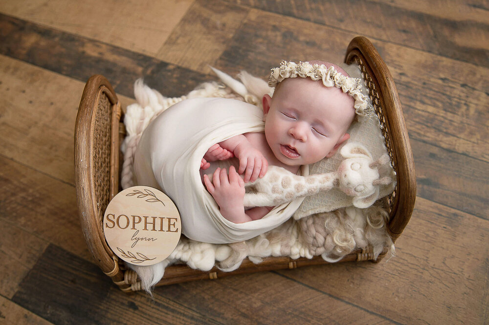 newborn baby girl holding a giraffe in a tiny bed.