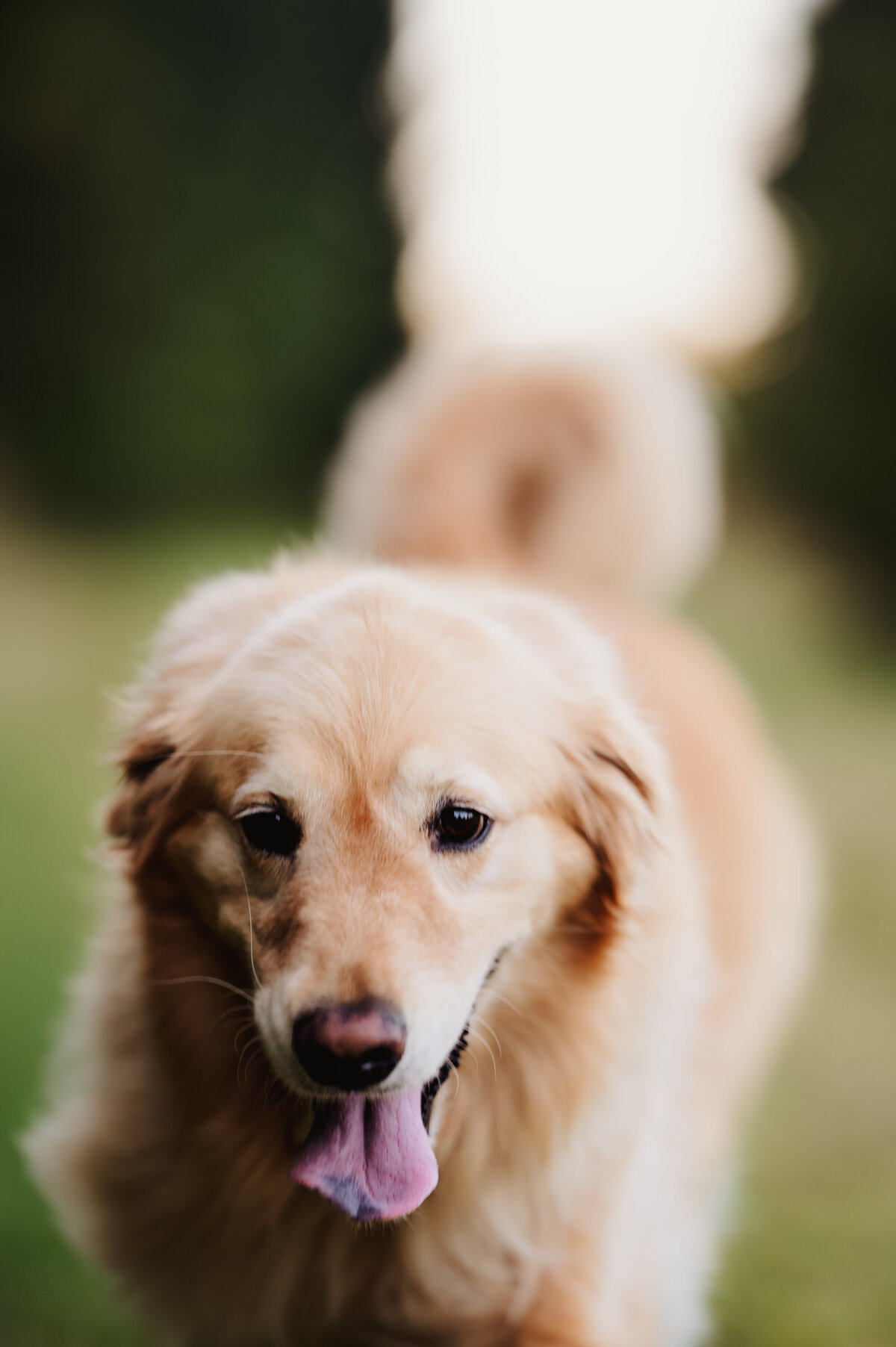 OliviaB_Fall2025_051