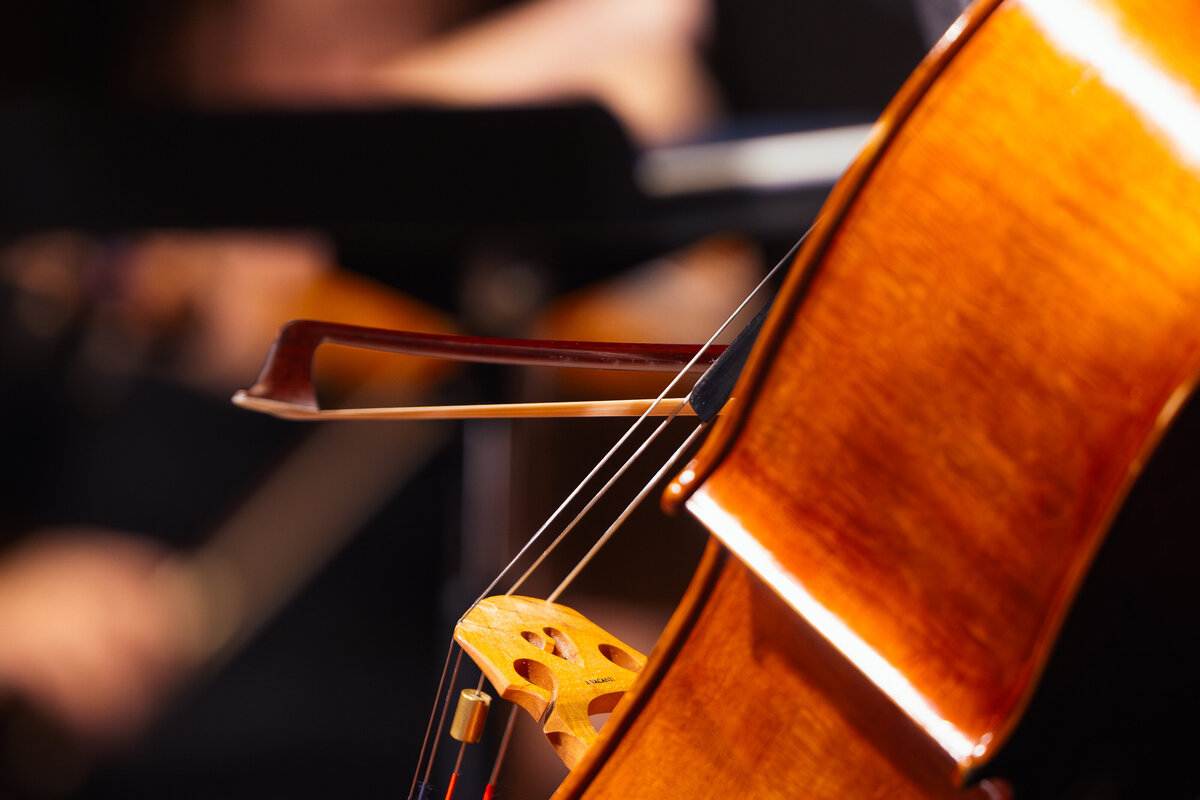 20241016_Camerata Orchestra_Fall Concert_AJ_3514-Enhanced-NR