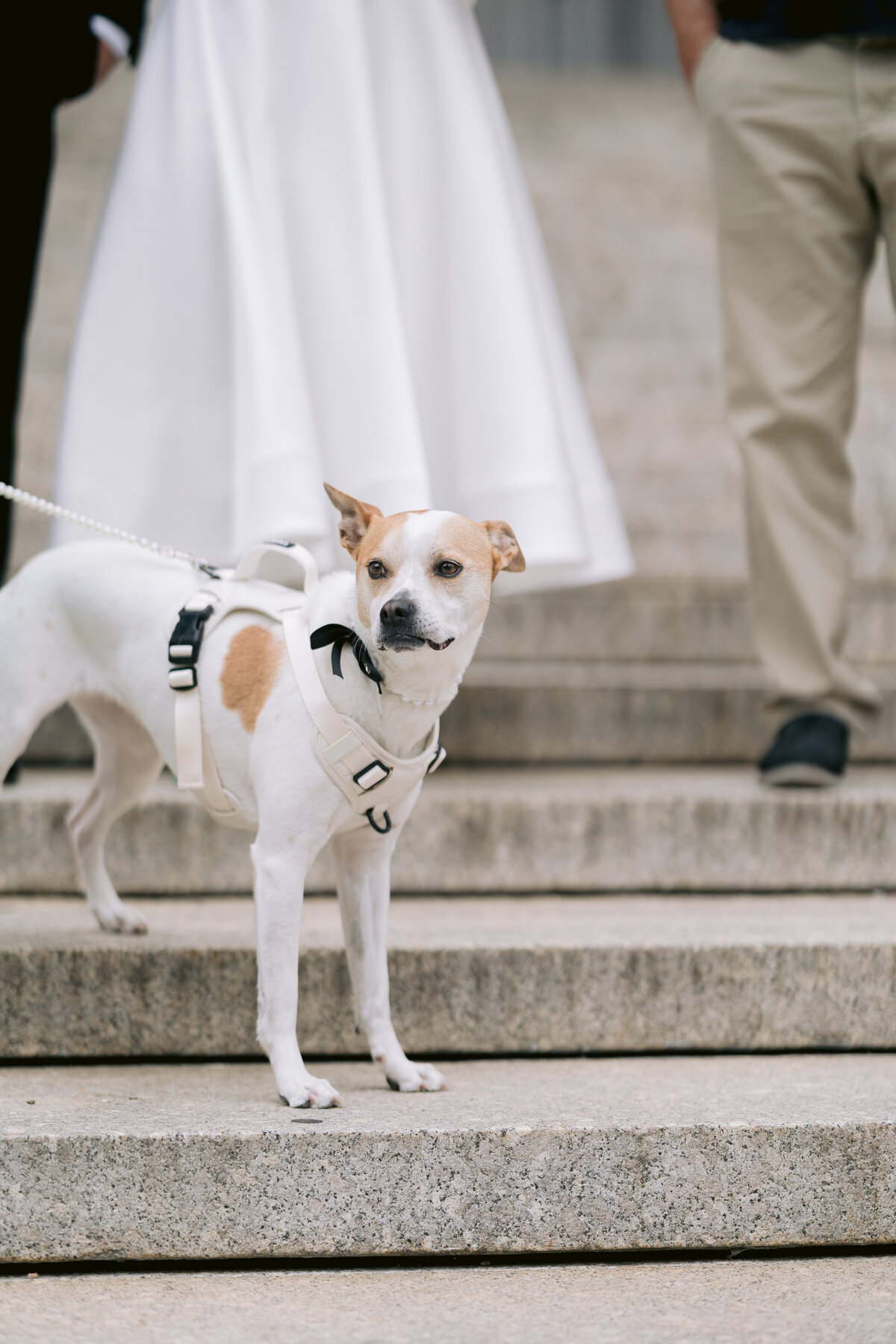 McCallCraigsWedding_0006