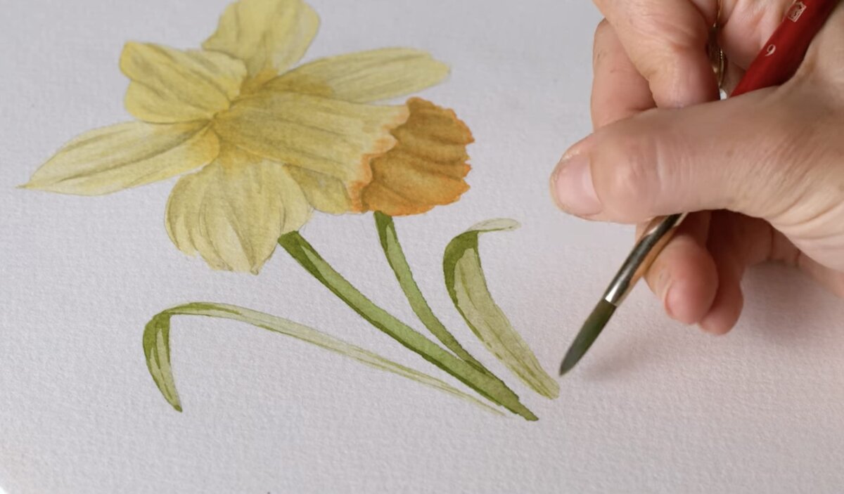 paex-2021-08-daffodil