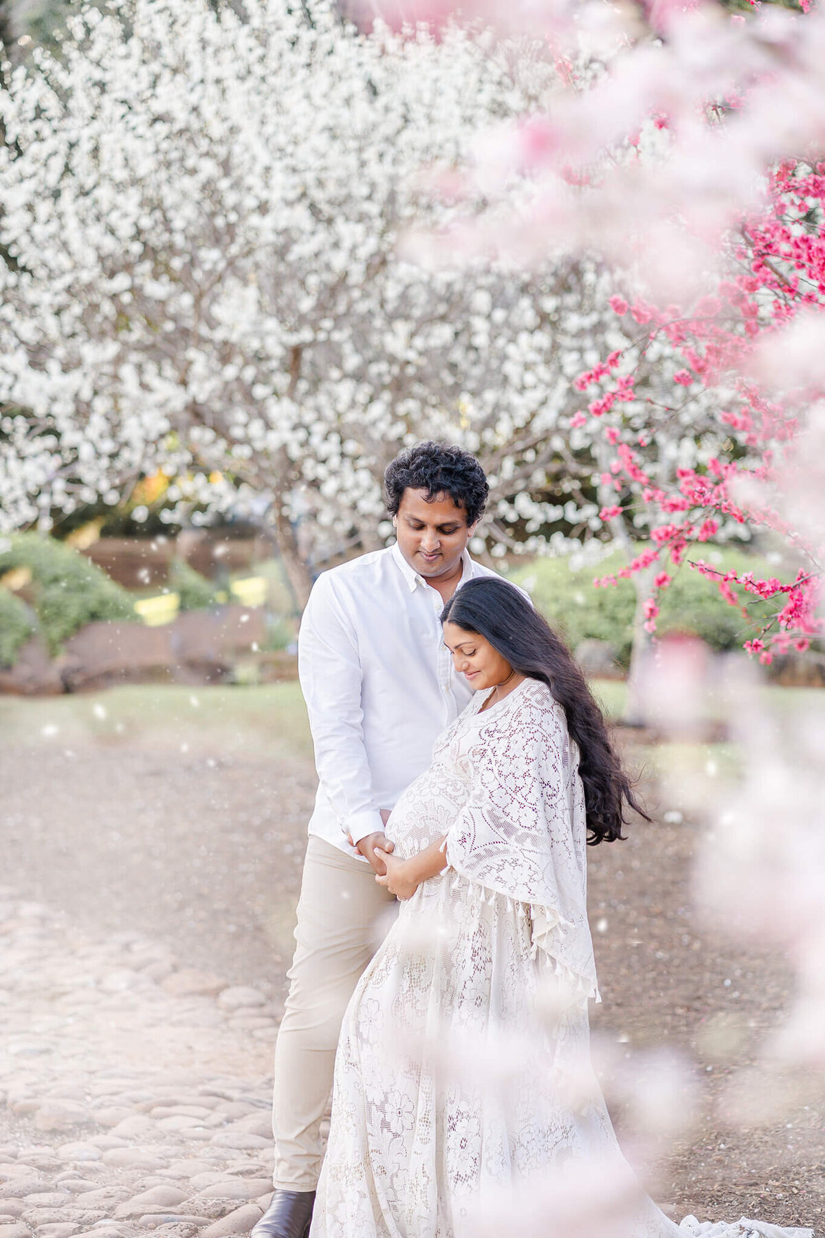 Capture the elegance of maternity blissfully portrayed at Brisbane's Japanese garden under cherry blossoms.