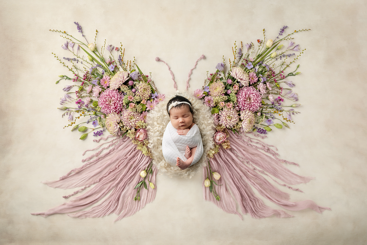 memphis newborn photography by jen howell 13