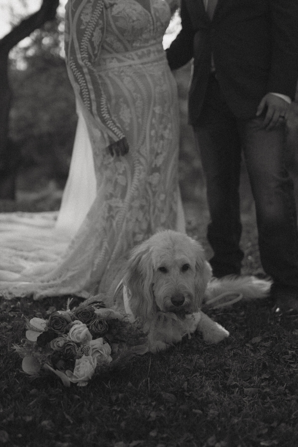 Ximenna & John-03964