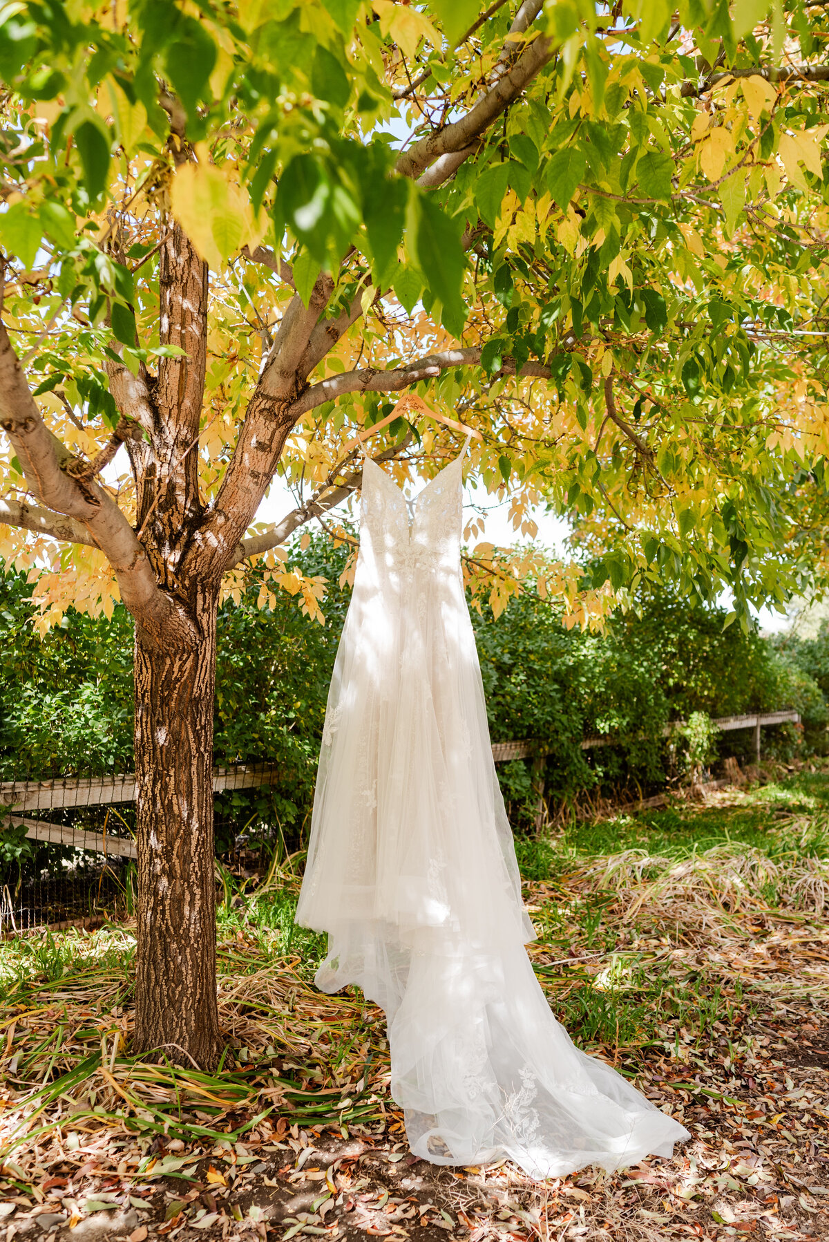 Minden wedding photos