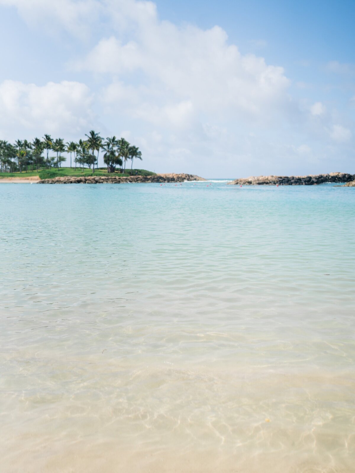 Kat Derek Oahu Hawaii Wedding Lauren Fair Photography_0361