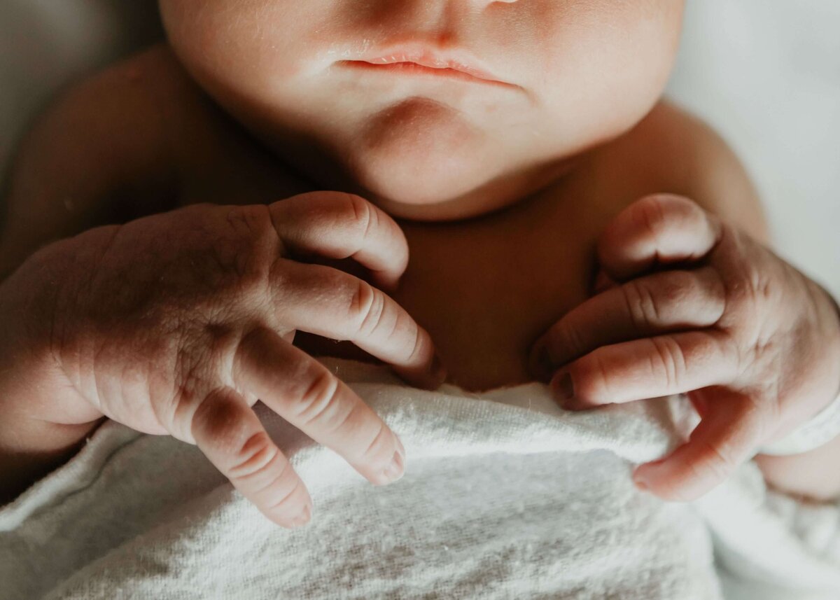 A close up of a baby's hands captured by a Pittsburgh newborn photographer.