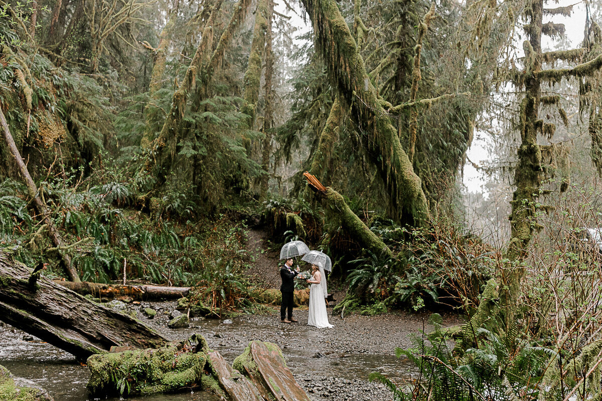washingtonelopementphotographer-fernacreswedding-forkswashingtonwedding-pnwelopement-10