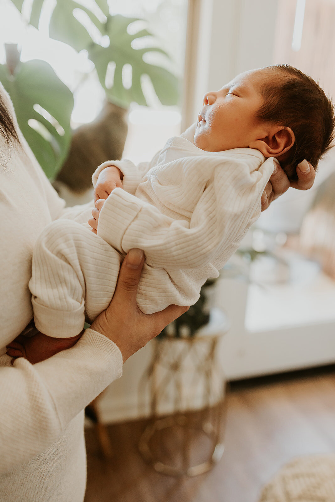 Home Newborn Photography