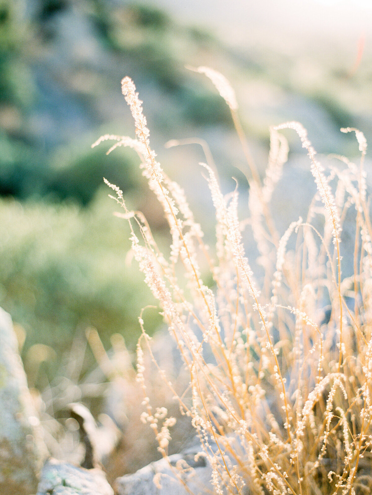 Toms-Thumb-Engagement_Rachel-Solomon-Photography-014