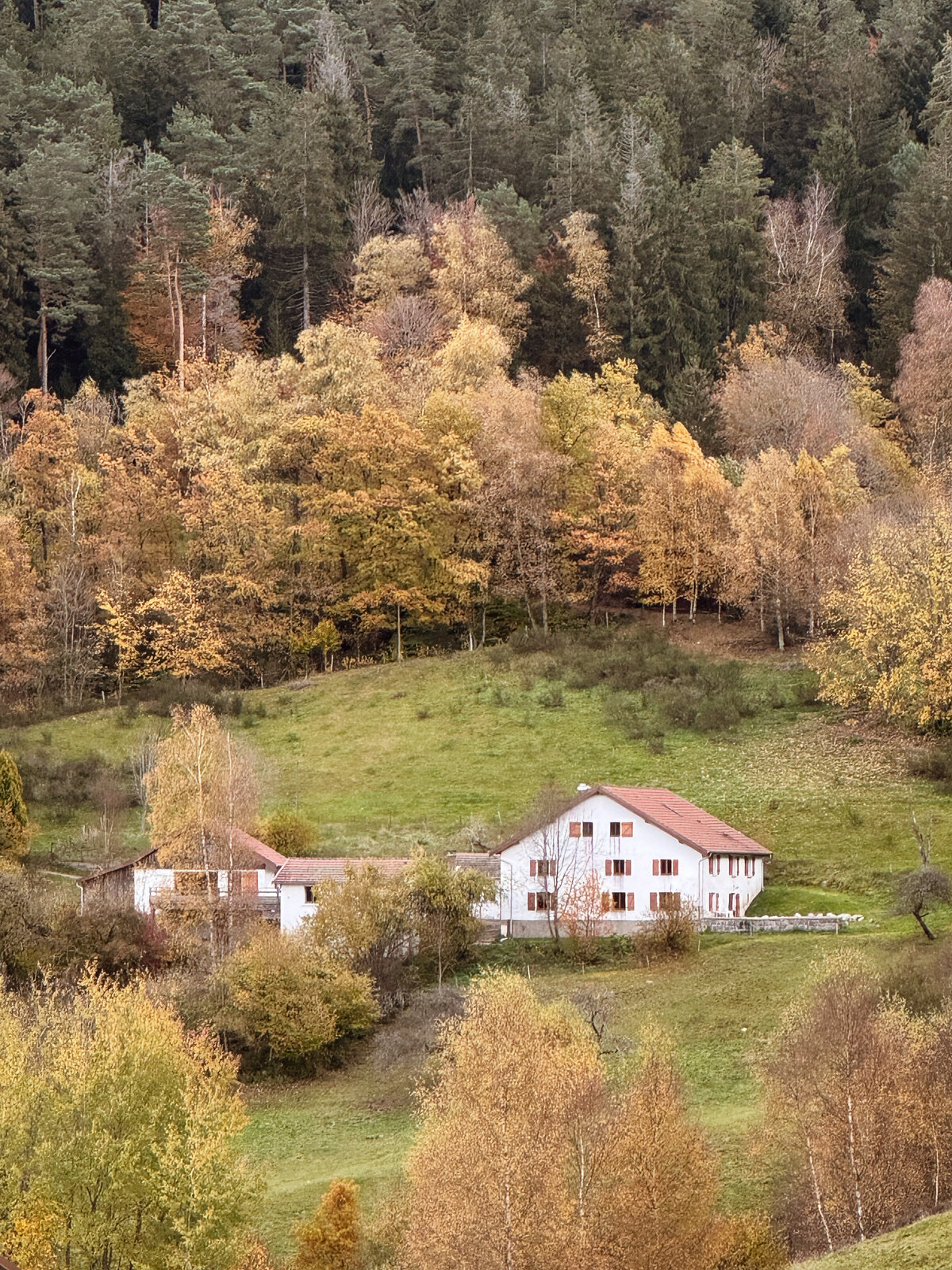 La Source Lily Paloma Collection Maison de vacances avec spa près de Gerardmer
