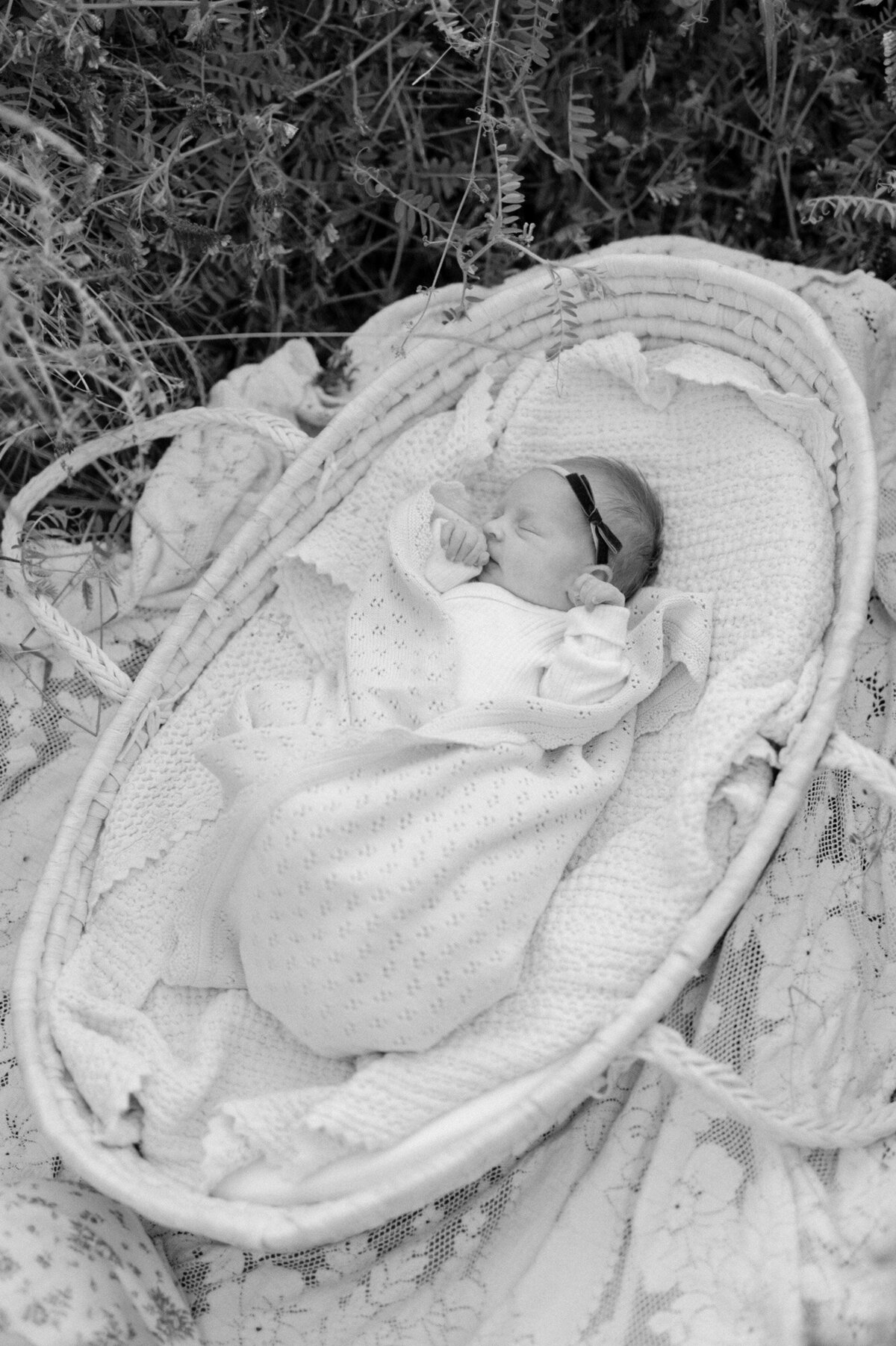 newborn-photos-seattle-80