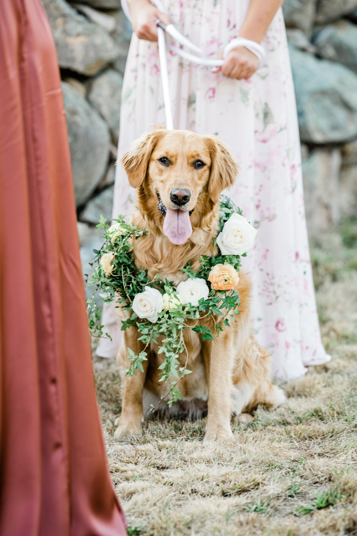 39 Best Wedding Photographers in Connecticut