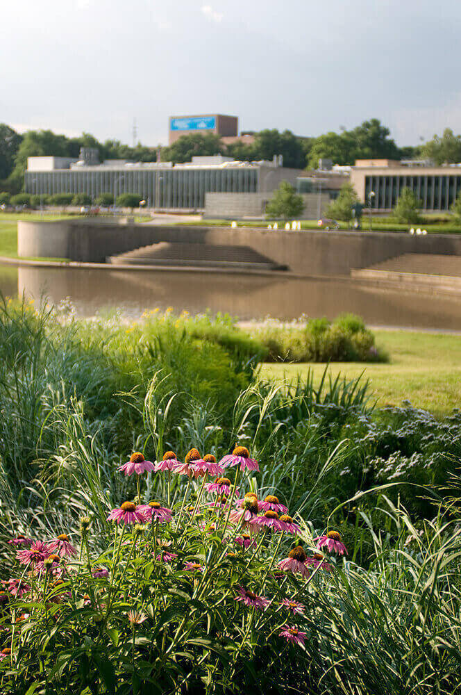 Commercial landscape company project in Kansas City