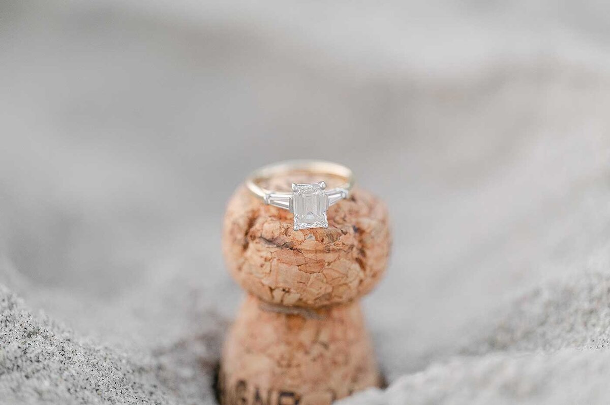 Eolia Harkness Beach Engagement Session