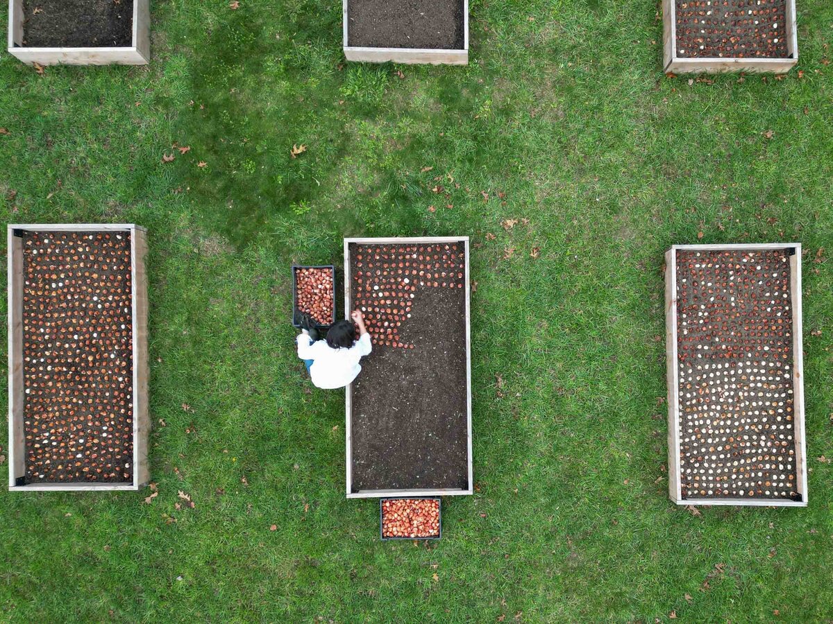 Blooms of Lost Acres_Drone_Fall Planting_2023-2