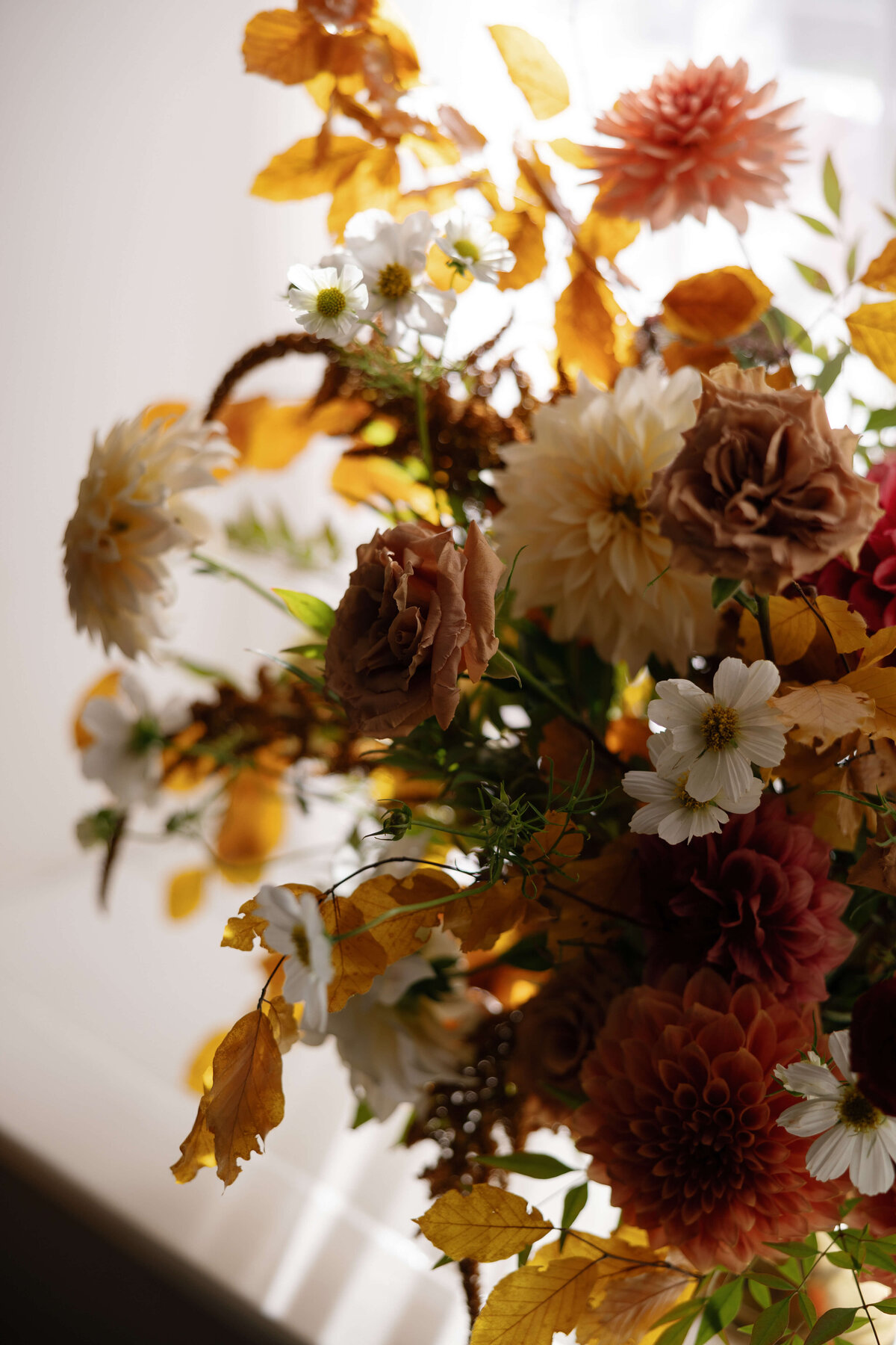 TriciaBaileyPhotography-193