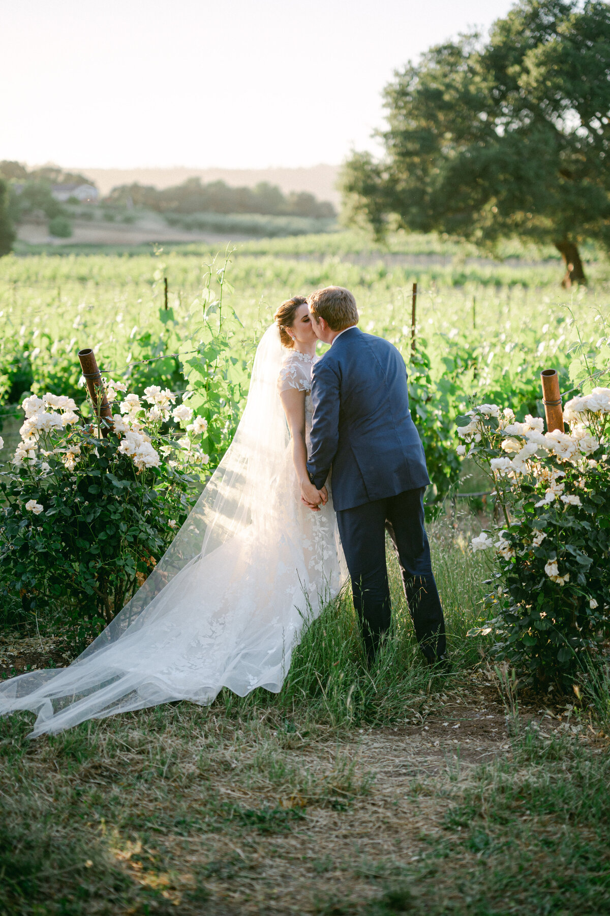 Napa_Wedding_Kat_Luke-1405