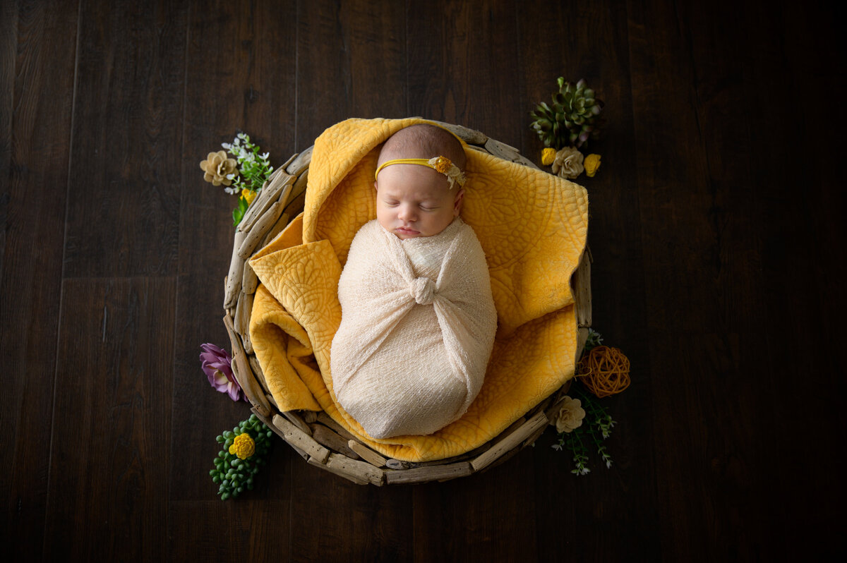 Abbie Potts Photography Green Bay Newborn Photographer Lifestyle Newborn Baby Session_0421